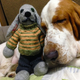 Illustration for article titled All 2013 Lazy HAL The Basset Hound Charmed Me To Death